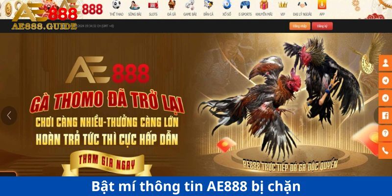 Bật mí thông tin AE888 bị chặn